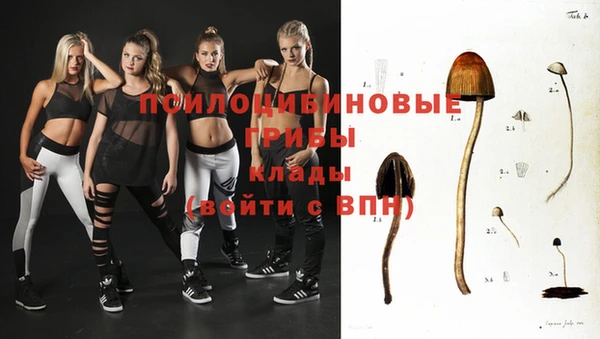 мдпв Армянск